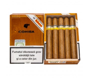 Trabucuri Cohiba Siglo VI (10)